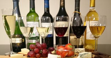 The Art of Wine Tasting