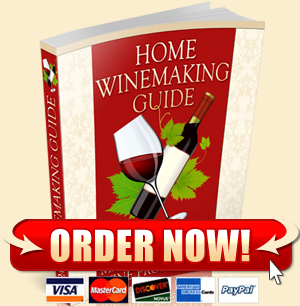 Home Wine Making Guide