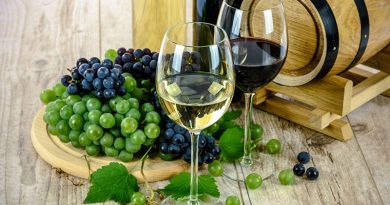 Tips for Making Your Own Wine