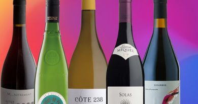 The French region attracting innovative winemakers